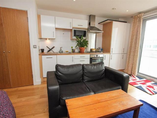 Studio for rent in Falcon Lodge, Wales