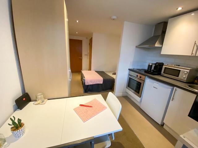 Studio for rent in Saint George's, South Yorkshire