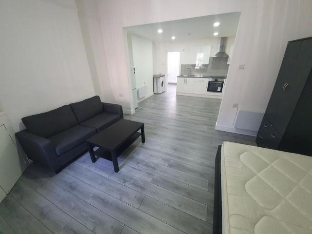 Studio for rent in Spring Park, Luton