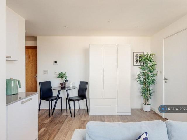 Studio for rent in Furze Platt, Maidenhead