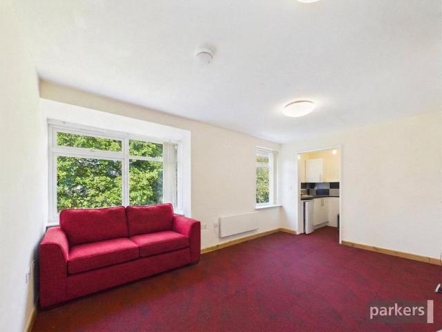 Studio for rent in Earley