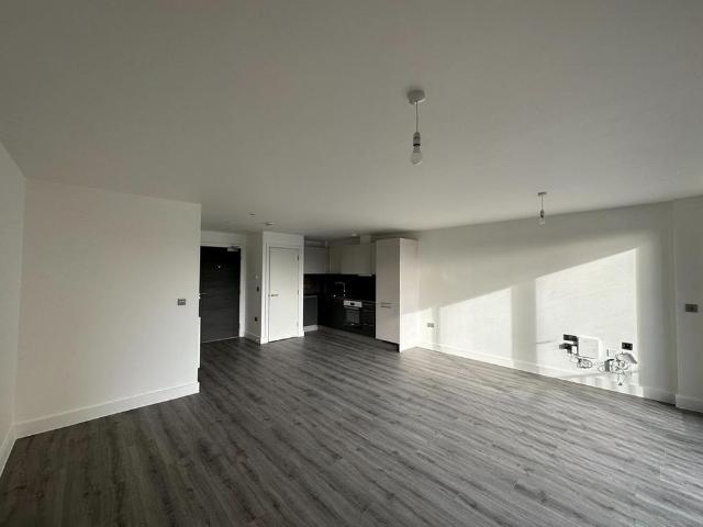 Studio for rent in South Ashford, Bridgefield