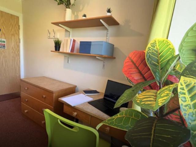 Studio for rent in St. Mildred's, The Bridge