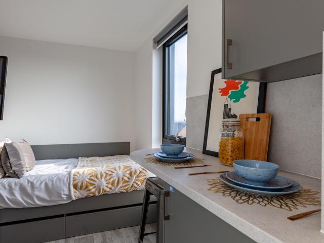 Studio for rent in Mount Pleasant, Swansea