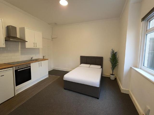 Studio for rent in Plasnewydd, Falcon Lodge