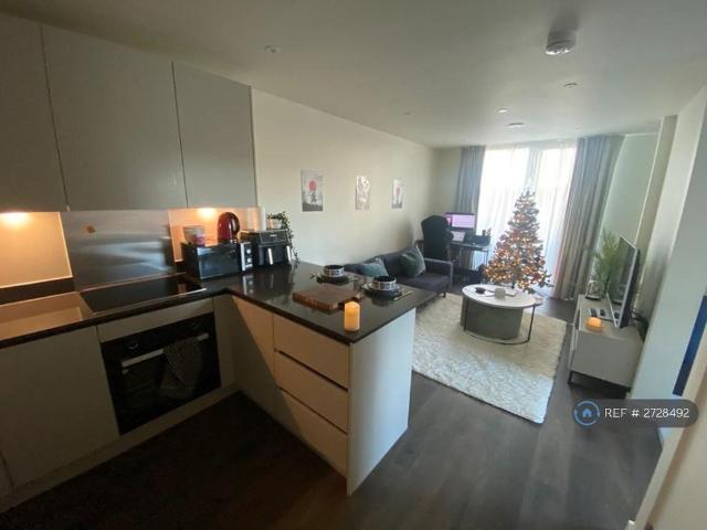 Studio for rent in Balsall Heath, Isle Of Man