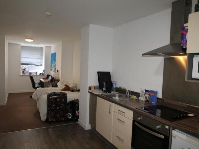 Studio for rent in The Meadows, Haddon