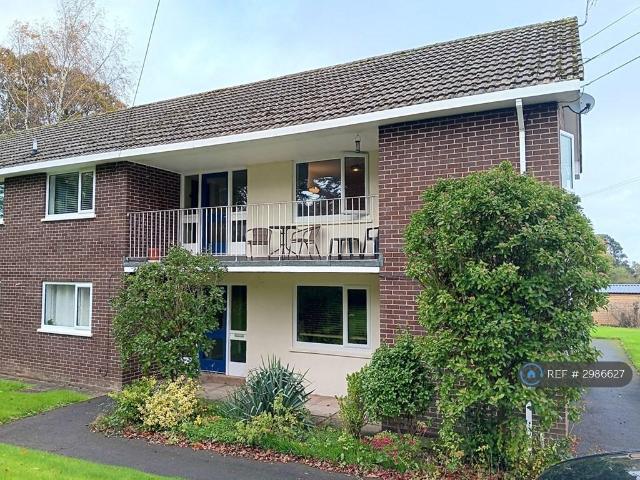 Flat for rent in Farringdon, Budlake