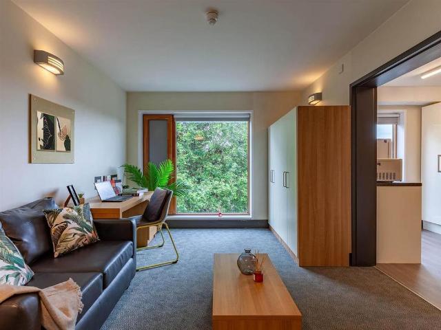 Studio for rent in Reading