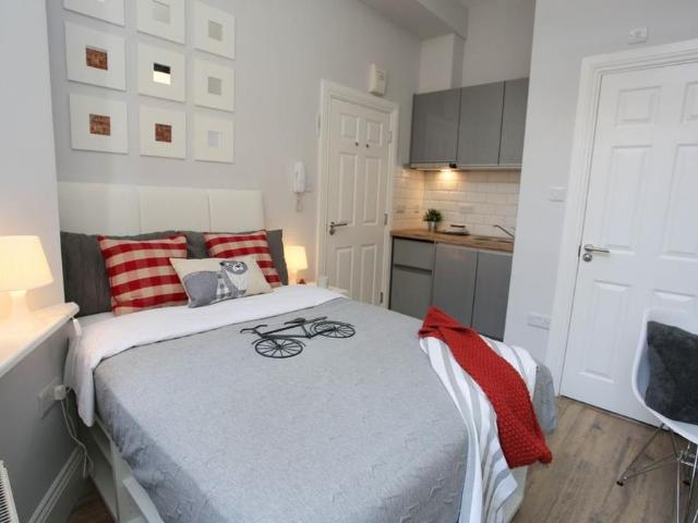 Studio for rent in Spring Park, Luton