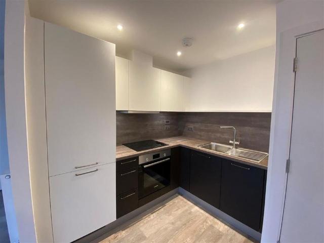 Studio for rent in South Ashford, Bridgefield