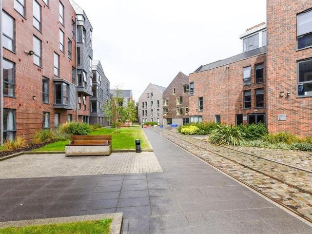 Studio for rent in Newtown, Two Mills
