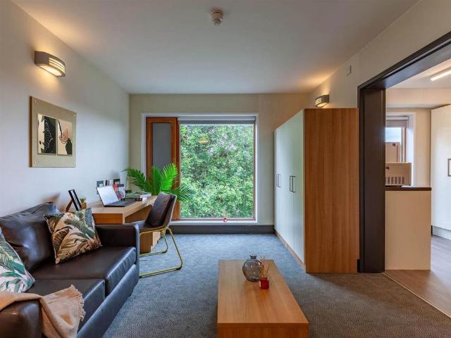 Studio for rent in Reading