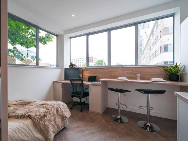 Studio for rent in Pennycomequick, Mount Wise