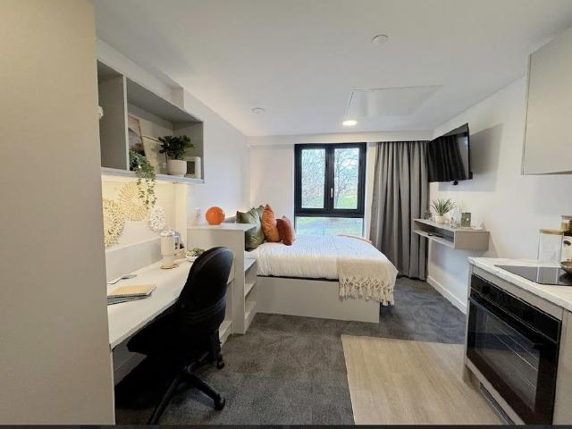 Studio for rent in The Meadows, Haddon