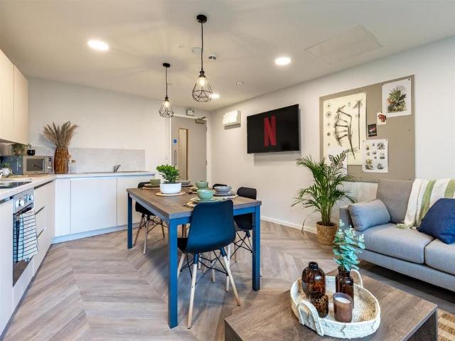 Studio for rent in The Meadows, Haddon