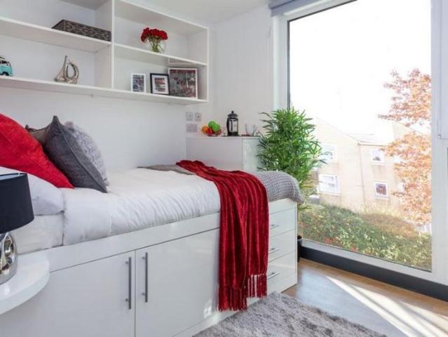 Studio for rent in Bevois Mount, Portswood