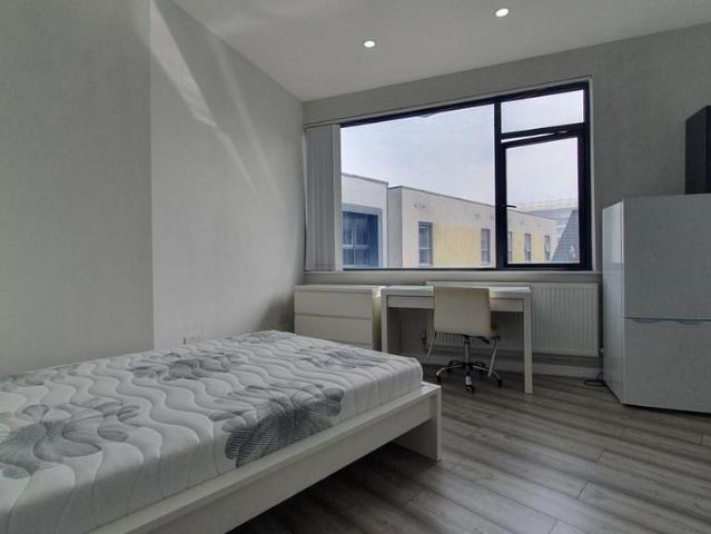 Studio for rent in Plasnewydd, Falcon Lodge