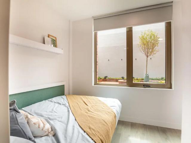 Studio for rent in Round Hill, Brighton