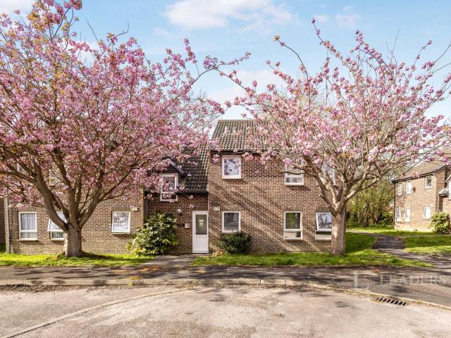 Studio for rent in Spring Vale, Hampshire