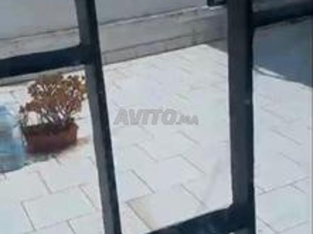 Appartement location