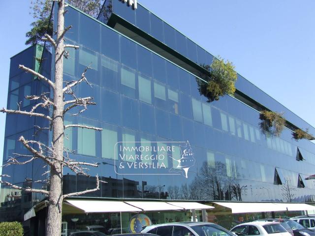 Capannone in affitto a Fontanini, Viareggio