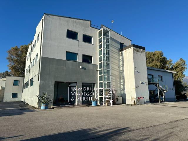 Ufficio in affitto a San Rocchino, Massarosa