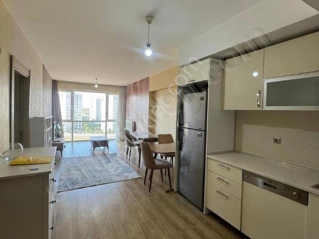 Ispartakule, Avcılar içerisinde kiralık mülk