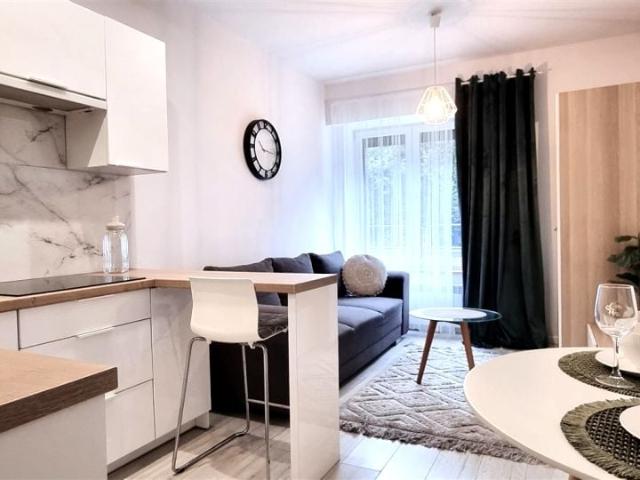 Mieszkanie do wynajęcia w Katowice, Śląskie