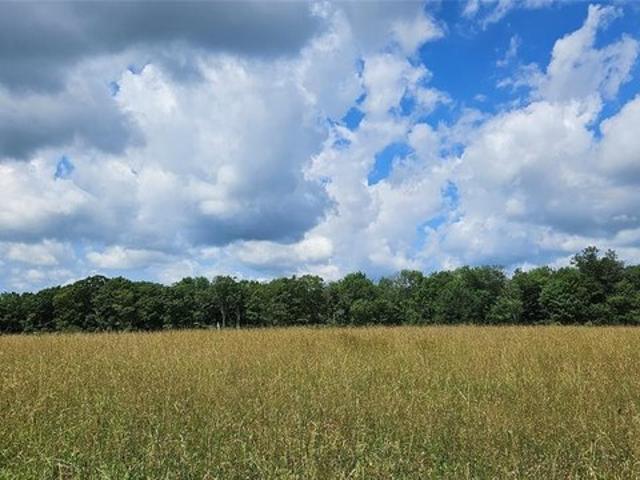 Land for sale in Callicoon Center, New York