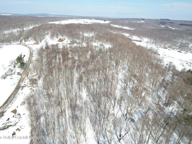 Land for sale in Roscoe, New York