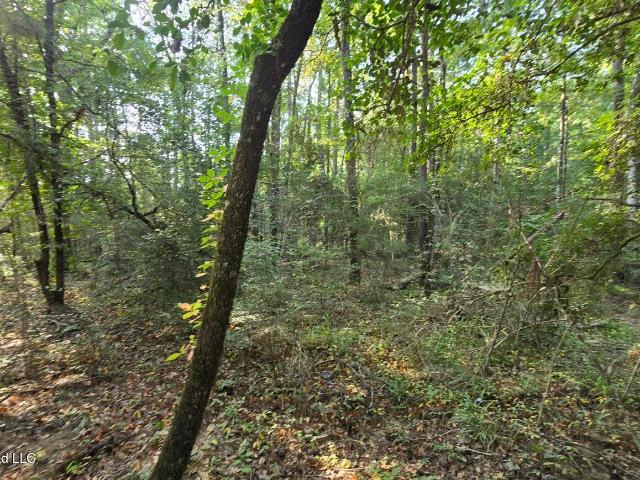 Land for sale in Gloster, Wilkinson County