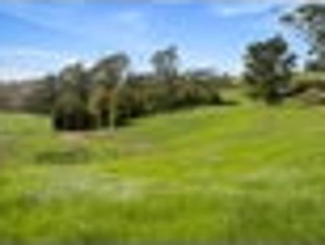 Land for sale in Kawau Island