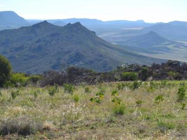 Farm for sale in West Coast, Piketberg