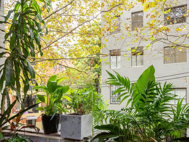 Apartment for rent in Aarons Pass