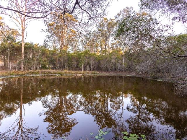 Land for sale in Curra, Queensland