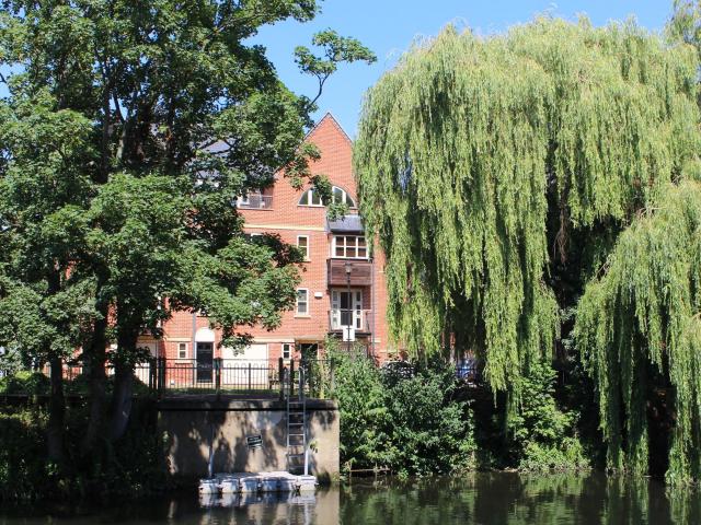 House for rent in New Catton, Norwich