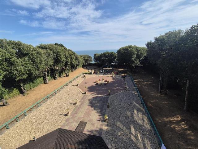 Apartment for rent in Springbourne, Bournemouth