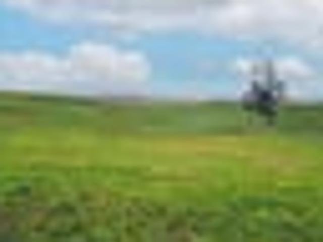 Land for sale in Waikato