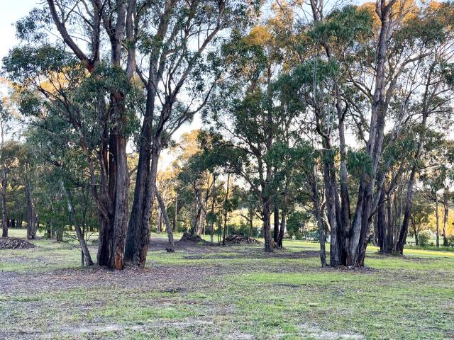 Property for sale in Snake Valley, Victoria