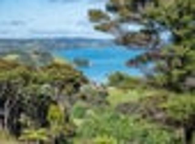 Land for sale in Fairburn, Northland