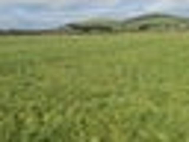 Land for sale in Longwood, Southland