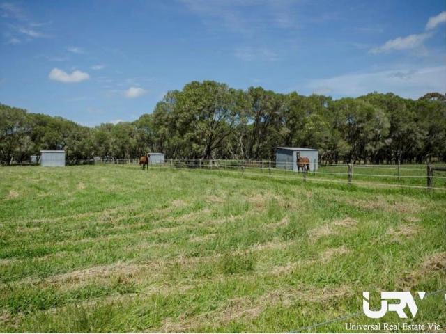Property for sale in Camerons Creek, Victoria