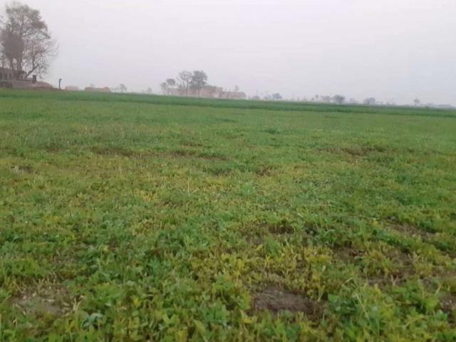 Land for sale in Rawalpindi, Islamabad Capital Territory