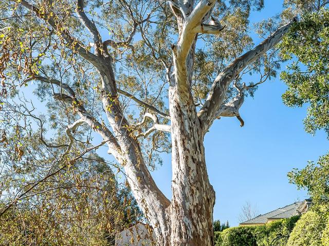 House for sale in Mount Barker, South Australia