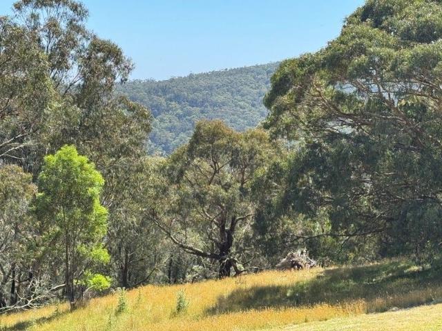 Acreage for sale in Deans Marsh, Victoria