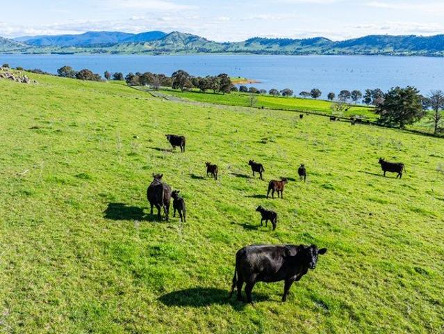 Cottage for sale in Bethanga, Victoria