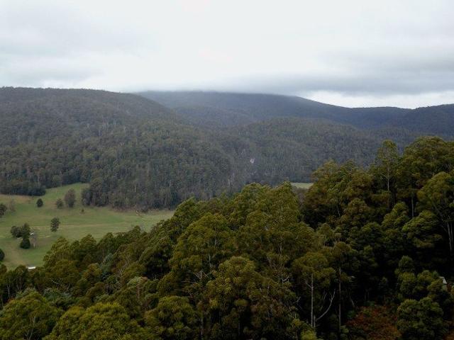 Land for sale in Liena, Tasmania