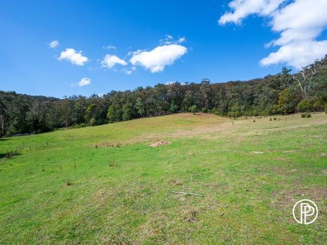 Land for sale in Camerons Creek, Victoria