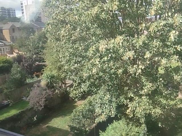 House for rent in London Borough of Lewisham, Lower Sydenham